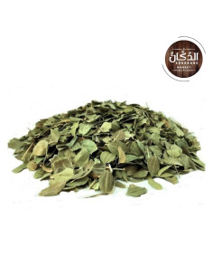 FEUILLES DE JUJUBIER سدر