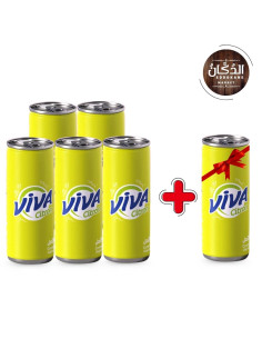 PACK6 VIVA CITRON 24CL