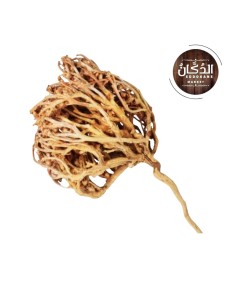 La Rose de Jericho شجرة مريم