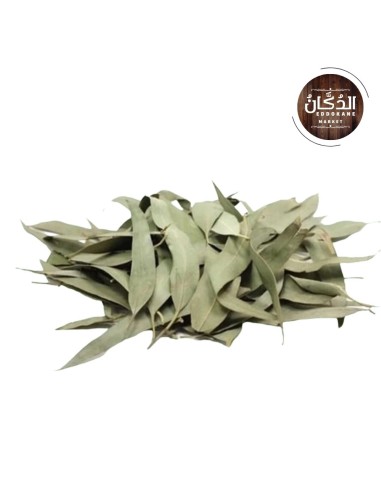 Eucalyptus séchées كاليتوس