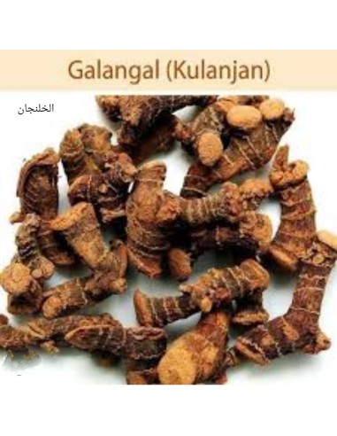 Galanga خلنجان